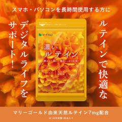 26日9:59迄【タイムセール】濃いルテイン 約3ヵ月分 アイケア えごま 亜麻仁 ゼアキサンチン ブルーライト スマートフォン
