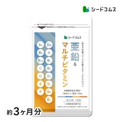 �������}���`�r�^�~�� ��3������ �h�{�@�\�H�i 1��90������ �T�v�� �T�v�������g ���N�H�i