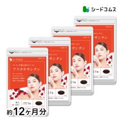 �A�X�^�L�T���`�� ��12������ �r�^�~�� �T�v�� �r�^�~�� ���N�H�i