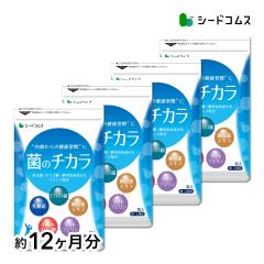 �ۂ̃`�J�� ��12������ �r�t�B�Y�X�� ���_�� �[���� �y��� �T�v�������g ���N�ێ�