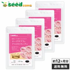 ���[�Y�T�v�� �A�X�^�L�T���`�� ��12������ ���� �T�v�� ���e ���N�H�i