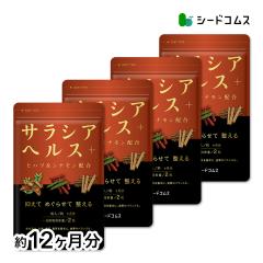 �T���V�A�w���X+ ��12������ �q�n�c �V�i���� �T�v�������g ���N�H�i