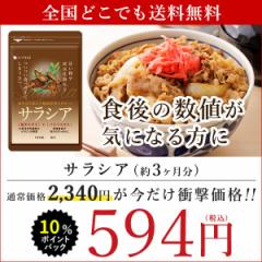 【5周年★超目玉】サラシア 約3ヵ月分 サプリメント 炭水化物 ダイエット 菊芋 健康食品