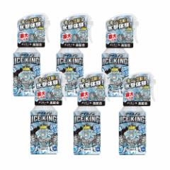 �A�C�X�m�� �V���c�~�X�g ICE KING 300ml �{�́~6�y6�Z�b�g�z �������� �⊴�X�v���[ �Ђ��� ������ �u����