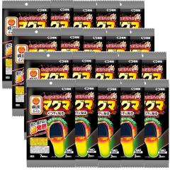 ߂ቷJC  }O} Cp ɓ\  3~20y20Zbgz jp  w JC ѐ