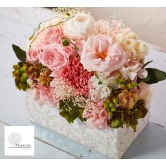 �v���U�[�u�h�t�����[ ��̓� �|�b�g�A�����W �o�X�P�b�g�A�����W ���� �����j�� �ސE�j�� ���ʉ� �V�z�j�� �J�X�j�� �a���� �C���e���A 