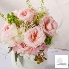 �v���U�[�u�h�t�����[ ��̓� �|�b�g�A�����W ���� �����j�� �ސE�j�� ���ʉ� �V�z�j�� �J�X�j�� �a���� �C���e���A ���j��