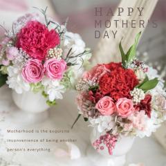 �y���َq�Z�b�g�z�v���U�[�u�h�t�����[ ��̓� �|�b�g�A�����W ���� �����j�� �ސE�j�� ���ʉ� �V�z�j�� �J�X�j�� �a���� �C���e���A ��