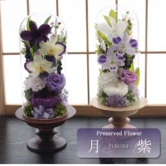 �y���������z���� �v���U�[�u�h�t�����[ ������ ���� ������� ���ފ� ���d �͂�Ȃ� ���� ������ �� ������� ���~ �V�~ ���~ ���ފ� �y