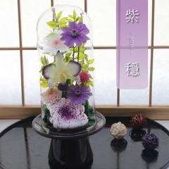 �y���������z���� �v���U�[�u�h�t�����[ ������ ���� ������� ���ފ� ���d