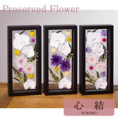 ���� �v���U�[�u�h�t�����[ ������ ���� ������� ���ފ� ���d �͂�Ȃ� ���� ������ �� ������� ���~ �V�~ 