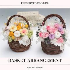 �v���U�[�u�h�t�����[ ��̓� �o�X�P�b�g�A�����W ���� �����j�� �ސE�j�� ���ʉ� �V�z�j�� �J�X�j�� �a���� �C���e���A ���j��