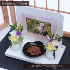 �y�ʐ^���ăZ�b�g�z���� �v���U�[�u�h�t�����[ ������ ������ ���� ������� �l�\��� ���d �͂�Ȃ� ���� ������ �� ������� ���~ �V�~