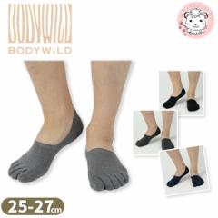 5{w tbgJo[ C O[ {fBCh GUNZE BODYWILD Y EȂ [tbgJo[ BDV006 25-27cm