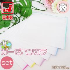 �K�[�[�n���J�` ����� 6���Z�b�g �唻 ���{�� ��35cm�~35cm