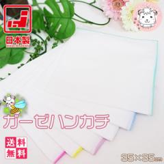 �K�[�[�n���J�` ����� 10���Z�b�g �唻 ���{�� ��35cm�~35cm