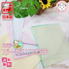 �K�[�[�n���J�` �J���[�n���J�` 10���Z�b�g �唻 2�d�K�[�[ ���{�� ��38cm�~38cm