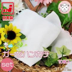 �K�[�[�n���J�` ����� 10���g ���{�� ��31cm�~31cm