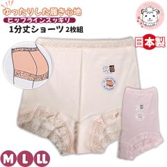 yAEgbgzqbvC 100% 1V[c 2g EGXg[X M/L/LL |  {NT[V[c { pc 1 