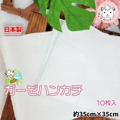 �K�[�[�n���J�` ����� 10���g ���{�� ��35cm�~35cm ���n �K�[�[���n �n���J�` �J���[ ��100�� ��d�K�[�[ 100�{�ō� �q�� �ۈ牀 ���H��