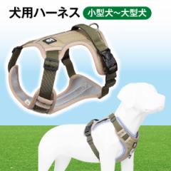 n[lX  xXg^ xXg ^ ^ ^ 킢 pn[lX   hbOn[lX 4TCY dog-harness