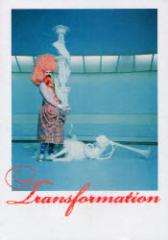 �y�V�i�z�g�����X�t�H�[���[�V���� ACCESS ����V��^���E�ďC ���J��S�q�^���E�ďC