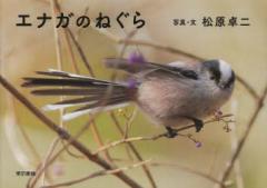 �y�V�i�z�G�i�K�̂˂��� �������� �������^�ʐ^�E��