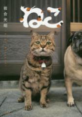 �y�V�i�z�˂� �N�����B�X �⍇����