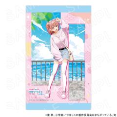 新品】やはり俺の青春ラブコメはまちがっている。 俺ガイルFes.-FINAL