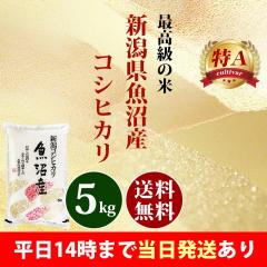 �� 5kg �V���� �����Y �R�V�q�J�� �ߘa7�N�Y ��A �ꓙ��  ���� 5kg �������� �k�C���E����͒ǉ����� �c�Ɠ�14���܂ő����������� 5�L��