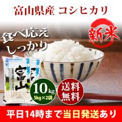 �V�� �� 10kg �x�R���Y �R�V�q�J�� 5kg�~2�� �ߘa8�N�Y �ꓙ�� ���� 10kg �������� �k�C���E����͒ǉ����� �c�Ɠ�14���܂ő����������� 