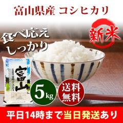 �V�� �� 5kg �x�R���Y �R�V�q�J�� �ߘa8�N�Y �ꓙ�� ���� 5kg �������� �k�C���E����͒ǉ����� �c�Ɠ�14���܂ő����������� 5�L��