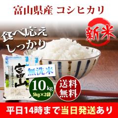 �V�� �� ������ 10kg �x�R���Y �R�V�q�J�� 5kg�~2�� �ߘa8�N�Y �ꓙ�� ���� 10kg �������� �k�C���E����͒ǉ����� �c�Ɠ�14���܂ő�����