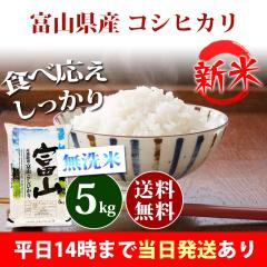 �V�� �� ������ 5kg �x�R���Y �R�V�q�J�� �ߘa8�N�Y �ꓙ�� ���� 5kg �������� �k�C���E����͒ǉ����� �c�Ɠ�14���܂ő����������� 5�L