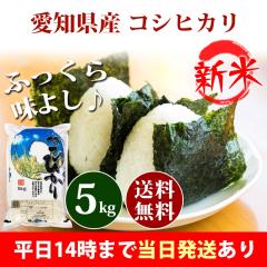 �V�� �� 5kg ���m���Y �R�V�q�J�� �ߘa8�N�Y ���� 5kg �������� �k�C���E����͒ǉ����� �c�Ɠ�14���܂ő����������� 5�L��