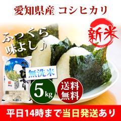 �V�� �� ������ 5kg ���m���Y �R�V�q�J�� �ߘa8�N�Y ���� 5kg �������� �k�C���E����͒ǉ����� �c�Ɠ�14���܂ő����������� 5�L��