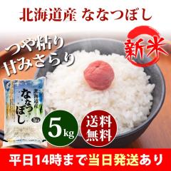 �V�� �� 5kg �k�C���Y �ȂȂڂ� �ߘa8�N�Y �ꓙ�� ���� 5kg �������� �k�C���E����͒ǉ����� �c�Ɠ�14���܂ő����������� 5�L��