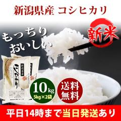 �V�� �� 10kg �V�����Y �R�V�q�J�� 5kg�~2�� �ߘa8�N�Y ���� 10kg �������� �k�C���E����͒ǉ����� �c�Ɠ�14���܂ő����������� 10�L��