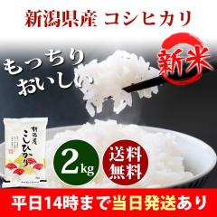 �V�� �� 2kg �V�����Y �R�V�q�J�� �ߘa8�N�Y ���� 2kg �������� �k�C���E����͒ǉ����� �c�Ɠ�14���܂ő����������� 2�L��