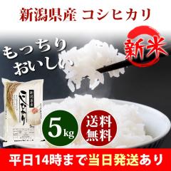 �V�� �� 5kg �V�����Y �R�V�q�J�� �ߘa8�N�Y ���� 5kg �������� �k�C���E����͒ǉ����� �c�Ɠ�14���܂ő����������� 5�L��