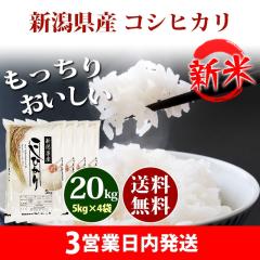 �V�� �� 20kg �V�����Y �R�V�q�J�� 5kg�~4�� �ߘa8�N�Y ���� 20kg �������� �k�C���E����͒ǉ����� 20�L��