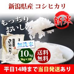 �V�� �� ������ 10kg �V�����Y �R�V�q�J�� 5kg�~2�� �ߘa8�N�Y ���� 10kg �������� �k�C���E����͒ǉ����� �c�Ɠ�14���܂ő����������� 