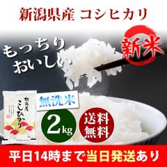 �V�� �� ������ 2kg �V�����Y �R�V�q�J�� �ߘa8�N�Y ���� 2kg �������� �k�C���E����͒ǉ����� �c�Ɠ�14���܂ő����������� 2�L��