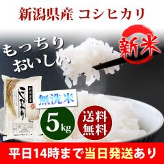 �V�� �� ������ 5kg �V�����Y �R�V�q�J�� �ߘa8�N�Y ���� 5kg �������� �k�C���E����͒ǉ����� �c�Ɠ�14���܂ő����������� 5�L��