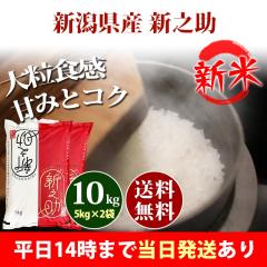 �V�� �� 10kg �V�����Y �V�V�� ����̂��� 5kg�~2�� �ߘa8�N�Y �ꓙ�� ���� 10kg �������� �k�C���E����͒ǉ����� �c�Ɠ�14���܂ő�����