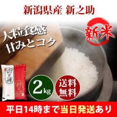 �V�� �� 2kg �V�����Y �V�V�� ����̂��� �ߘa8�N�Y �ꓙ�� ���� 2kg �������� �k�C���E����͒ǉ����� �c�Ɠ�14���܂ő����������� 2�L