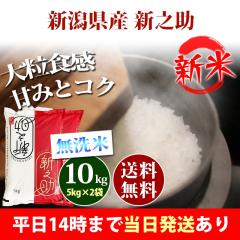 �V�� �� ������ 10kg �V�����Y �V�V�� ����̂��� 5kg�~2�� �ߘa8�N�Y �ꓙ�� ���� 10kg �������� �k�C���E����͒ǉ����� �c�Ɠ�14����