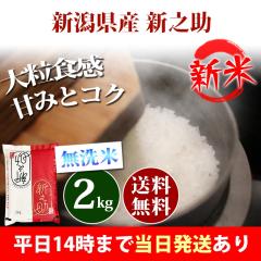 �V�� �� ������ 2kg �V�����Y �V�V�� ����̂��� �ߘa8�N�Y �ꓙ�� ���� 2kg �������� �k�C���E����͒ǉ����� �c�Ɠ�14���܂ő���������