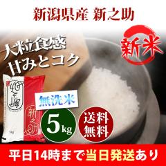 �V�� �� ������ 5kg �V�����Y �V�V�� ����̂��� �ߘa8�N�Y �ꓙ�� ���� 5kg �������� �k�C���E����͒ǉ����� �c�Ɠ�14���܂ő���������