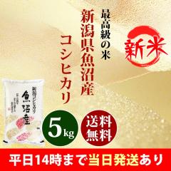 �V�� �� 5kg �V���� �����Y �R�V�q�J�� �ߘa8�N�Y �ꓙ��  ���� 5kg �������� �k�C���E����͒ǉ����� �c�Ɠ�14���܂ő����������� 5�L��